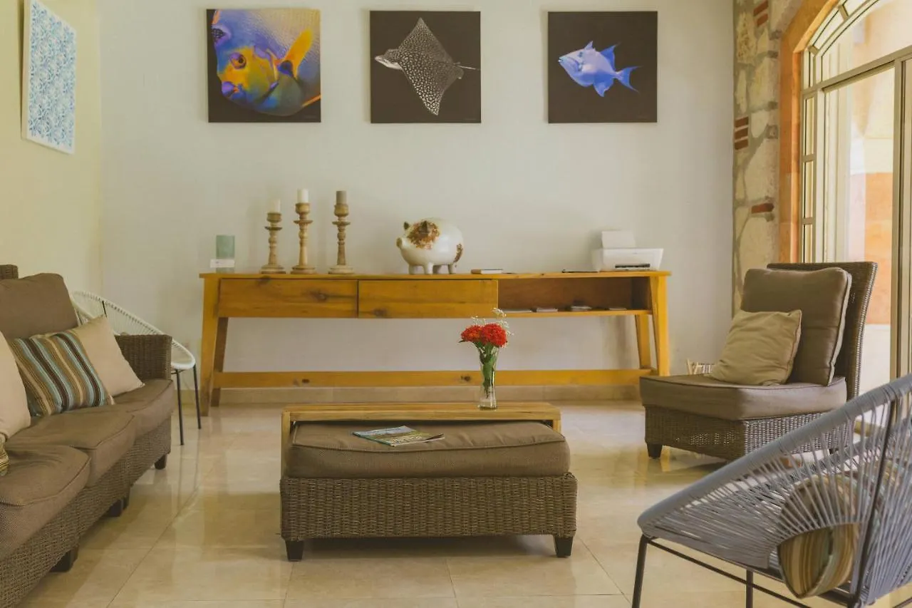 Casa Frida Cozumel Villa