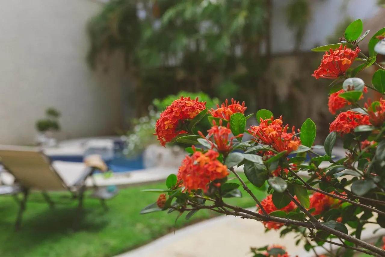 Casa Frida Cozumel Villa Holiday home